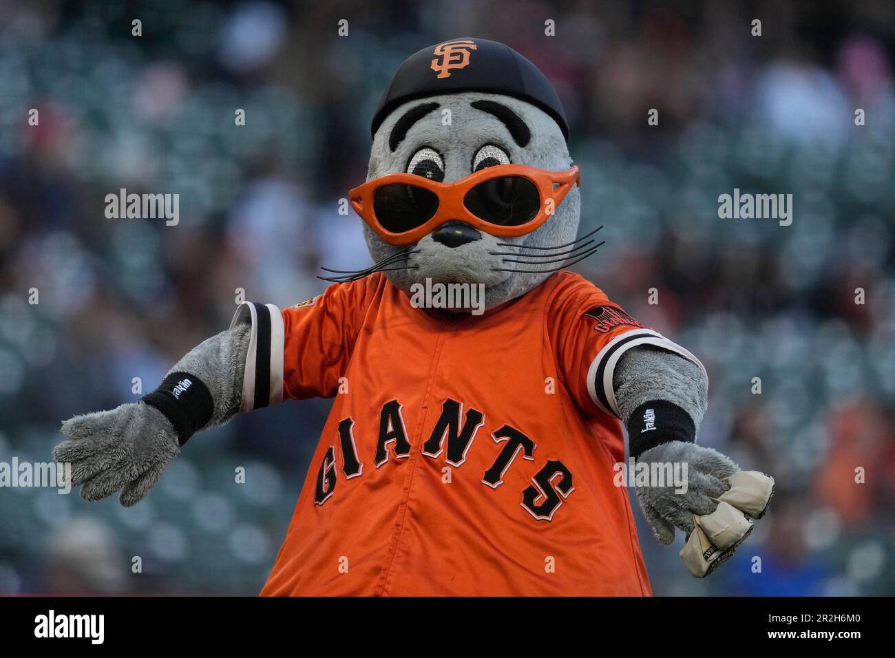 PELUCHE LOU SEAL SF Giants mascotte MLB San Francisco gris fête tag 14
