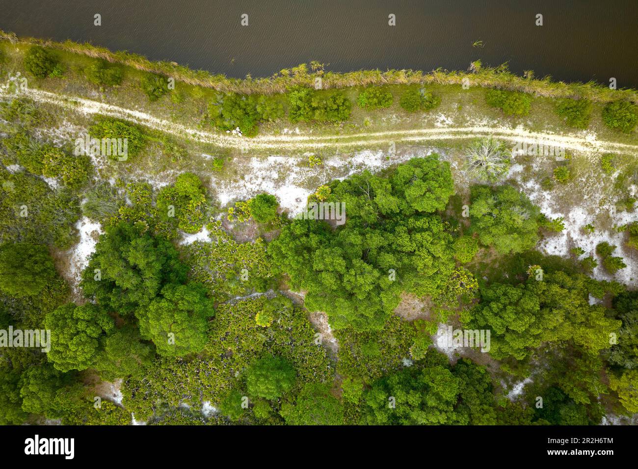 Top down aerial view florida hi-res stock photography and images - Alamy