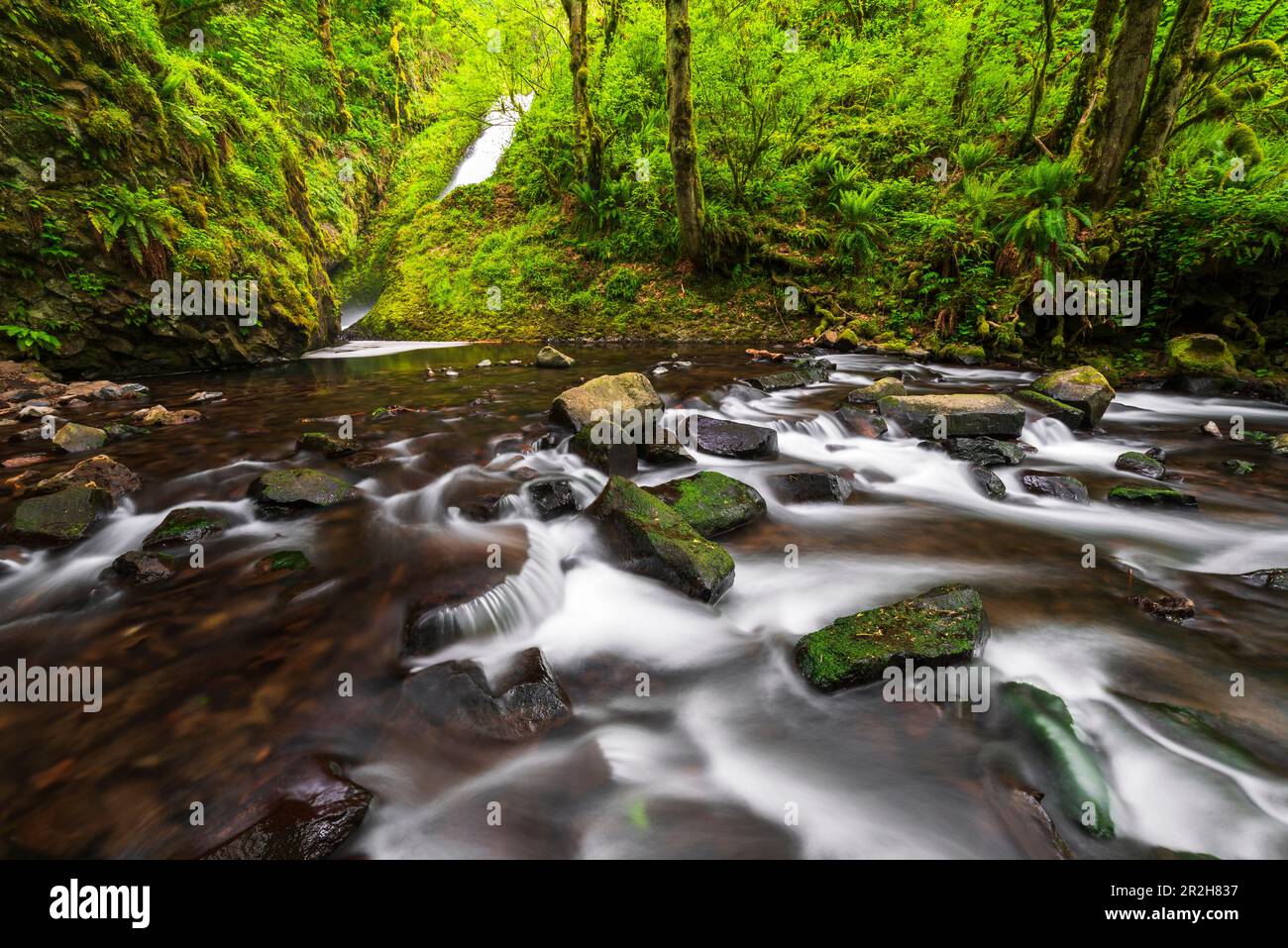 Bridal Veil Falls, Bridal Veil State Park, Columbia River