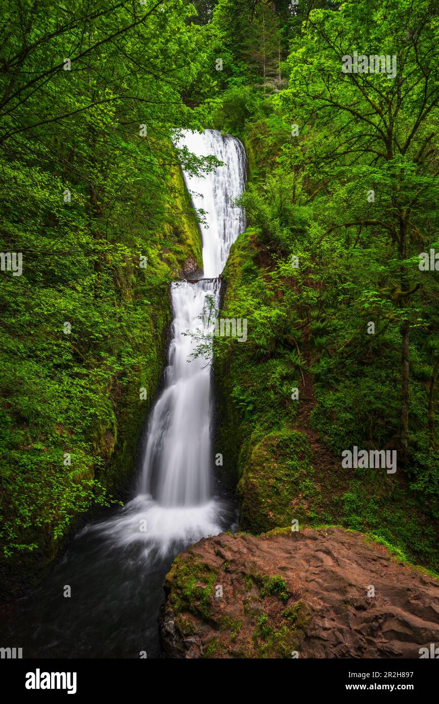 Bridal Veil Falls, Bridal Veil State Park, Columbia River