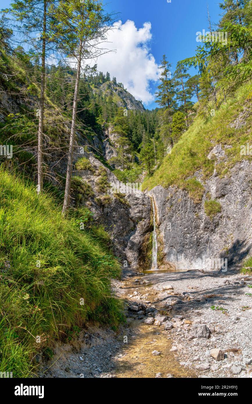 Small idyllic waterfall near Vorderriss, Isarwinkel, Upper Bavaria, Bavaria, Germany Stock Photo