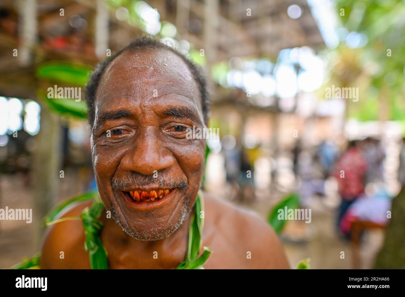 In the Solomon Islands, it is a cultural practice for some people, particularly in certain communities, to have red-stained teeth. This practice is known as 'betel nut chewing' or 'buai chewing.'  Betel nut is a fruit of the Areca palm tree, which is commonly chewed in many parts of Asia and the Pacific, including the Solomon Islands. When the betel nut is chewed, it releases a red juice that stains the teeth and mouth. Stock Photo