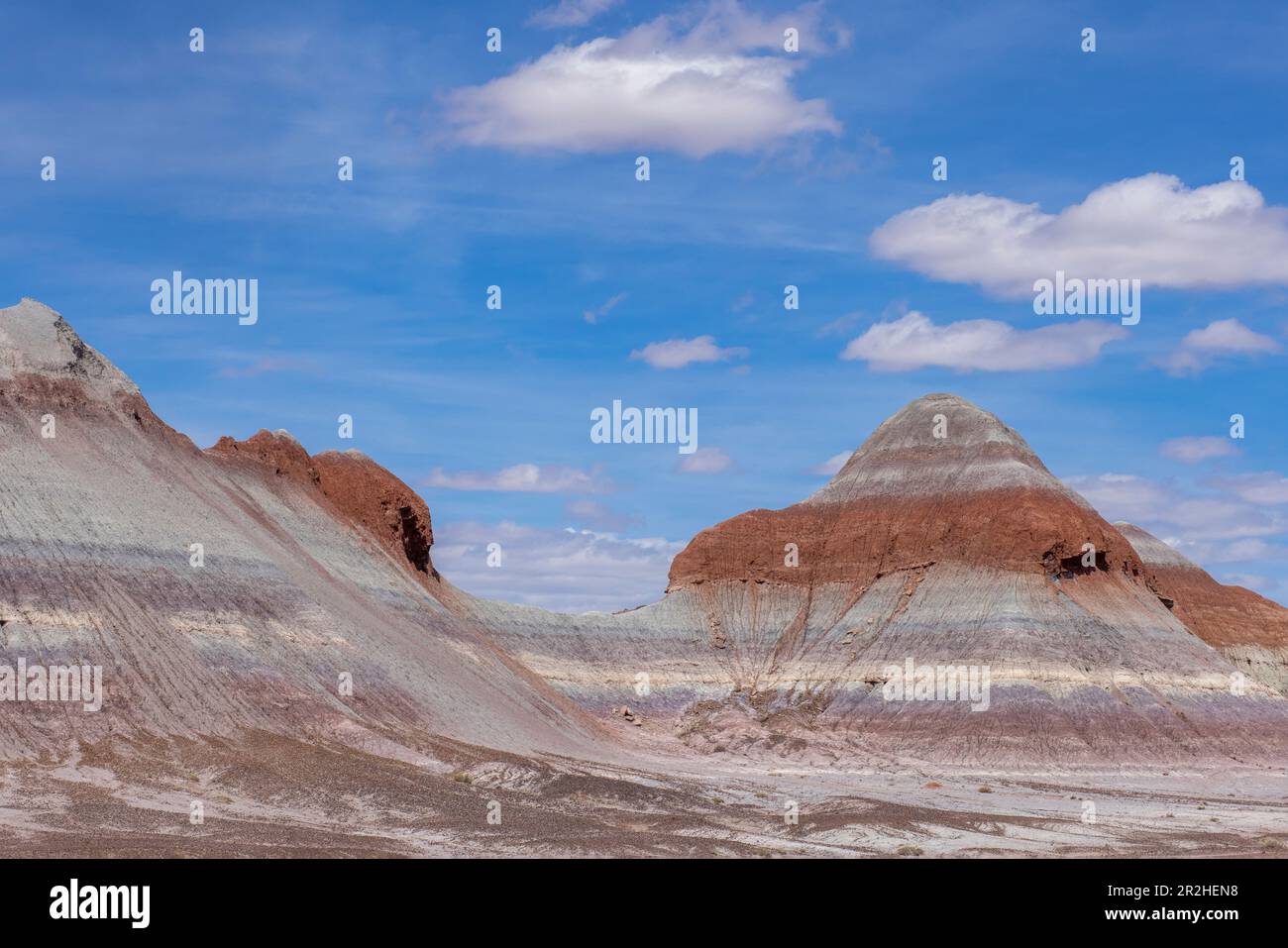 Petrified Forest National Park is an American national park in northeastern Arizona. Stock Photo