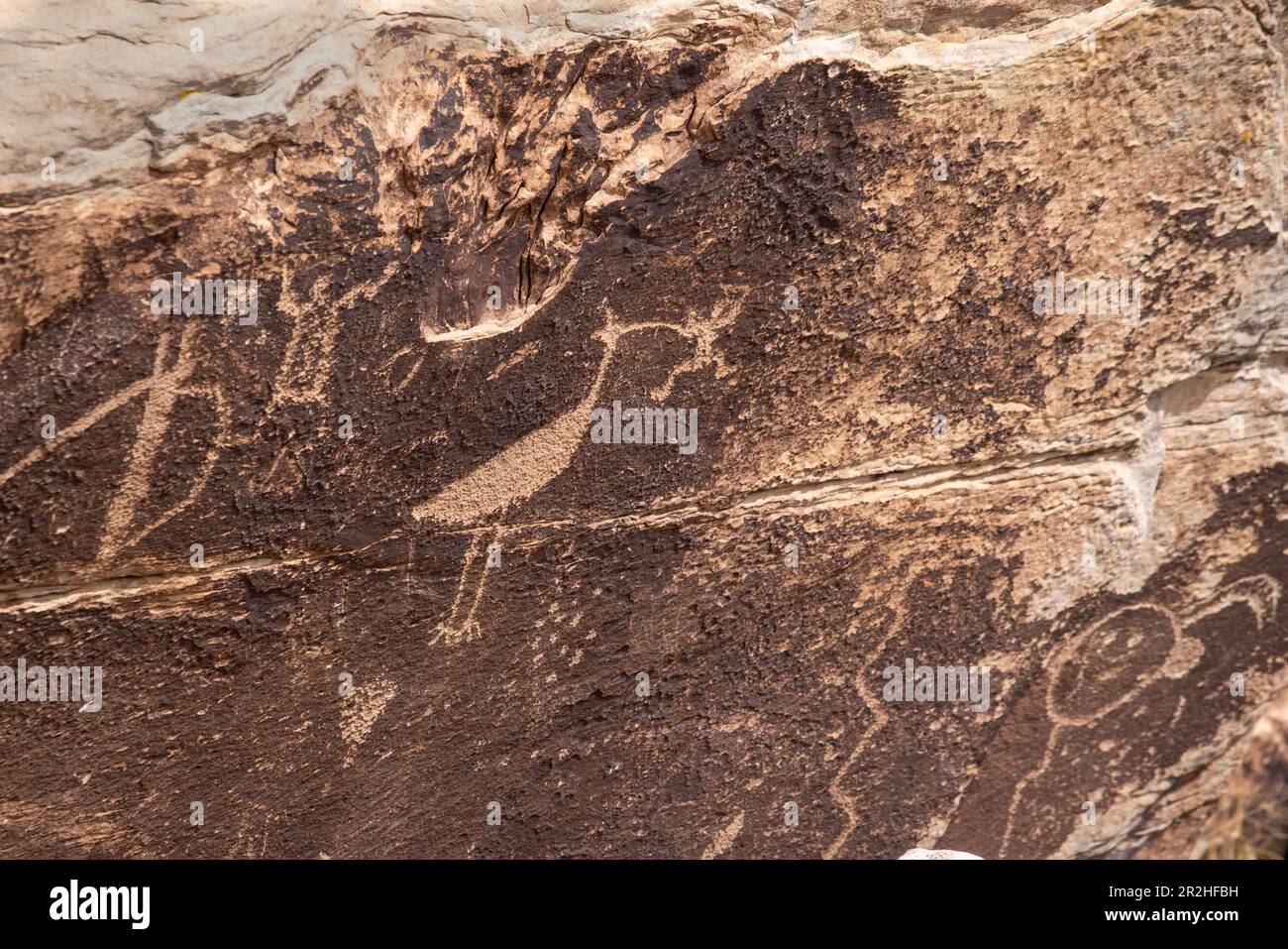 Petrified Forest National Park is an American national park in northeastern Arizona. Stock Photo