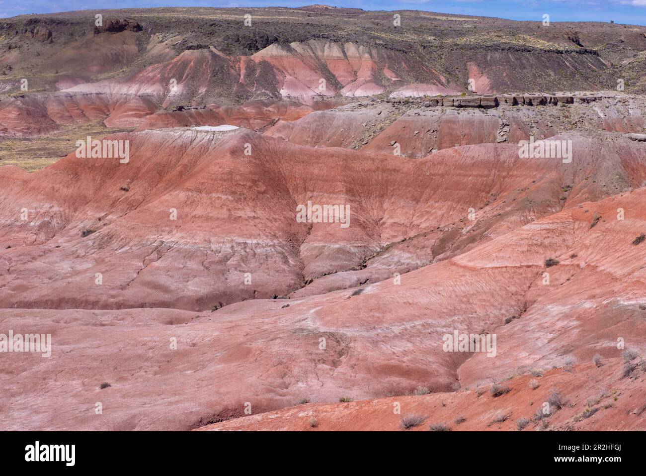 Petrified Forest National Park is an American national park in northeastern Arizona. Stock Photo