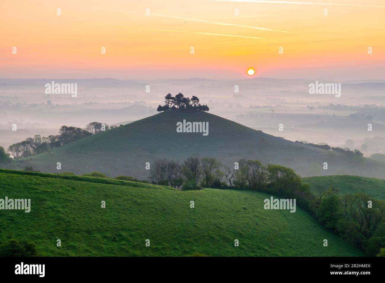 A misty sunrise at Colmers Hill at Symondsbury near Bridport in Dorset on a warm clear spring morning. Stock Photo