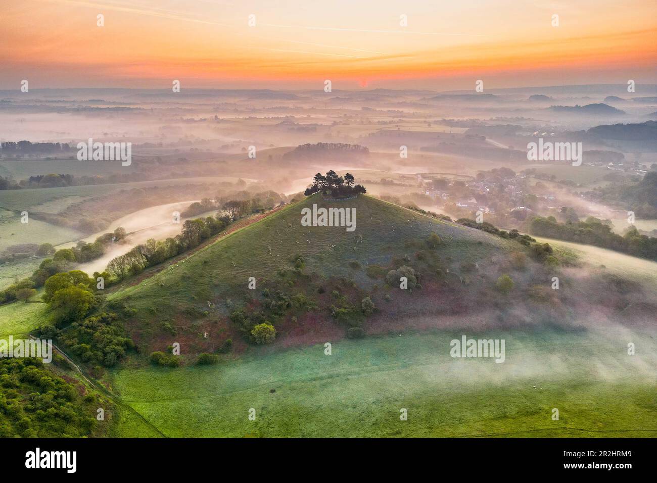 A misty sunrise at Colmers Hill at Symondsbury near Bridport in Dorset on a warm clear spring morning. Stock Photo