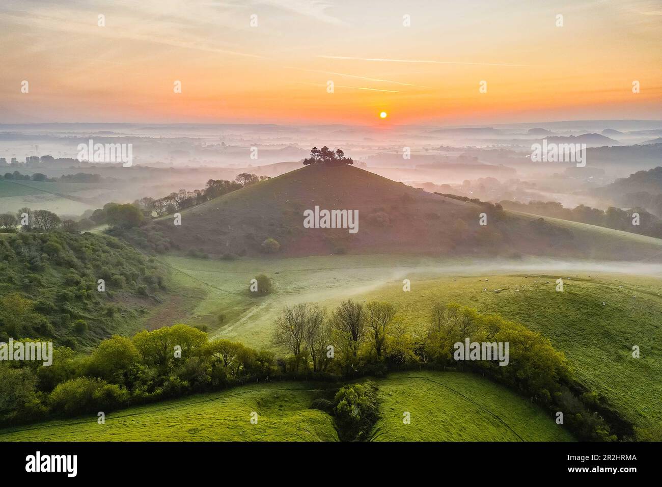 A misty sunrise at Colmers Hill at Symondsbury near Bridport in Dorset on a warm clear spring morning. Stock Photo