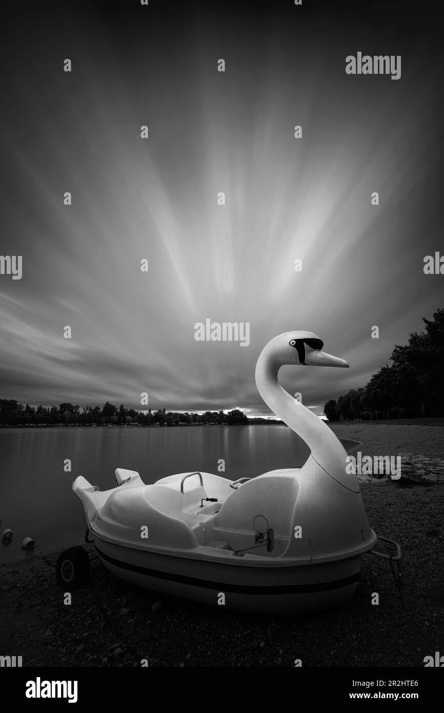 View of a swan pedal boat on the shore of Waginger See, Bavaria, Germany, Europe Stock Photo