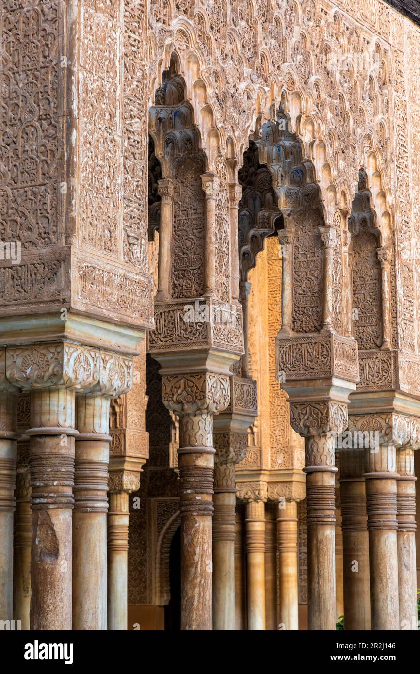 Court of the Lions, The Alhambra, UNESCO World Heritage Site, Granada, Andalusia, Spain, Europe Stock Photo