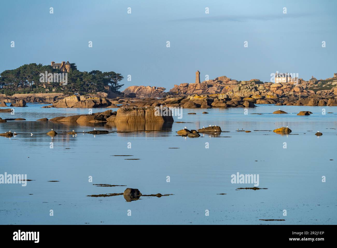 The rocks of the pink granite coast Côte de Granit Rose at the Baie de