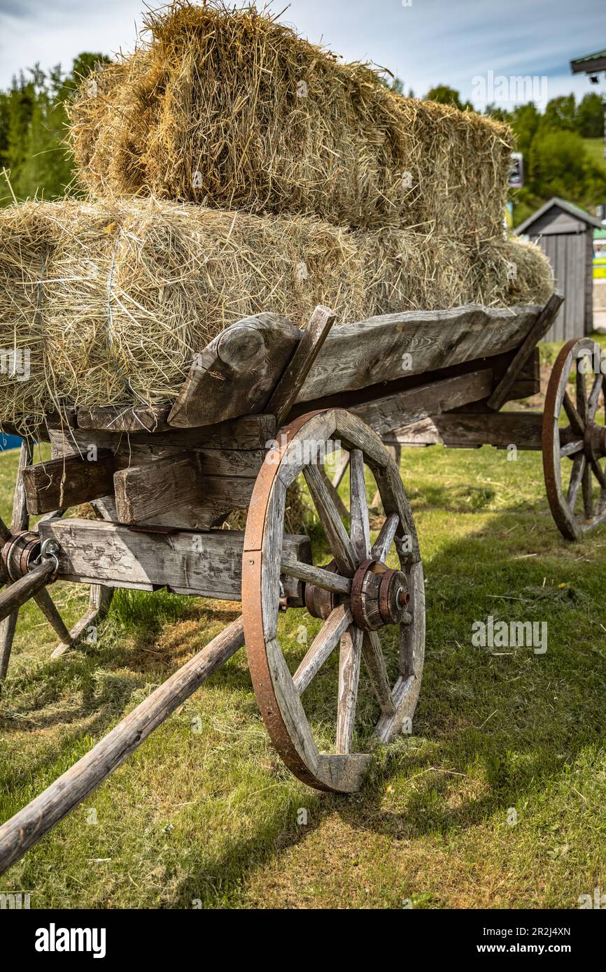 Old cart with hay Stock Photo Alamy