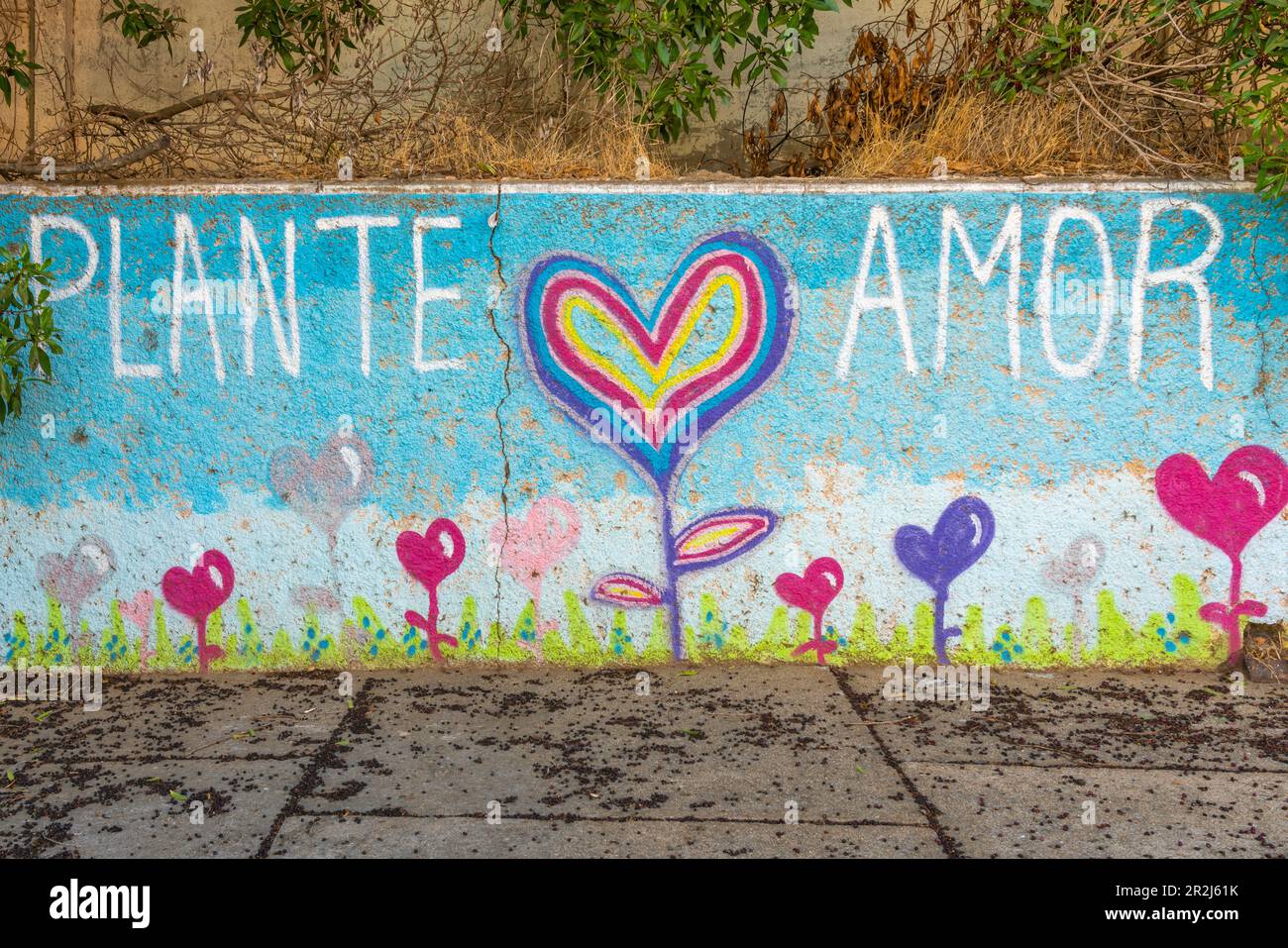 Painted mural with text saying Plante amor (Plant love) and heart at Cerro La Florida, Valparaiso, Valparaiso Province, Valparaiso Region, Chile Stock Photo