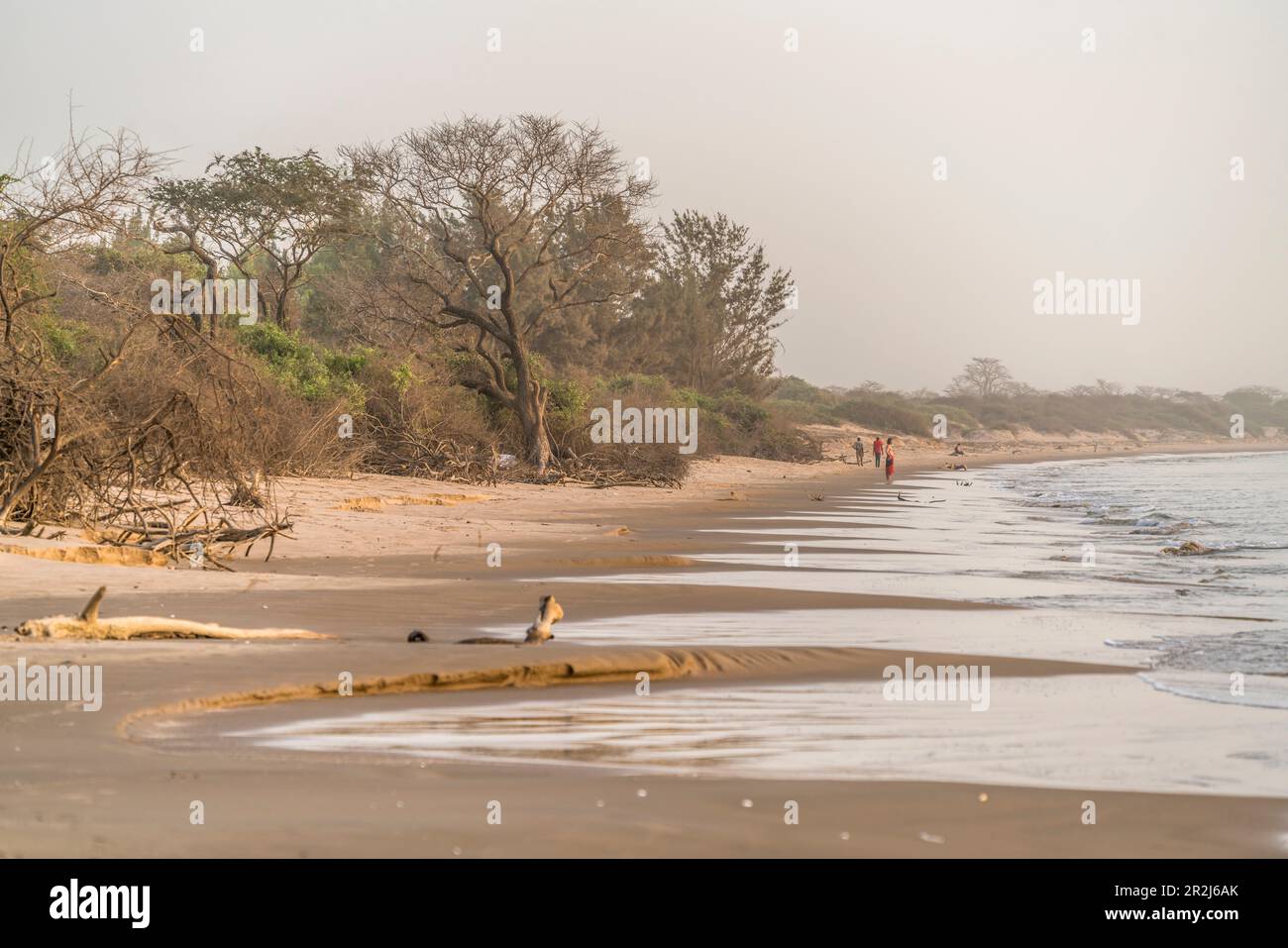 Jinack Island beach, Gambia, West Africa, Stock Photo