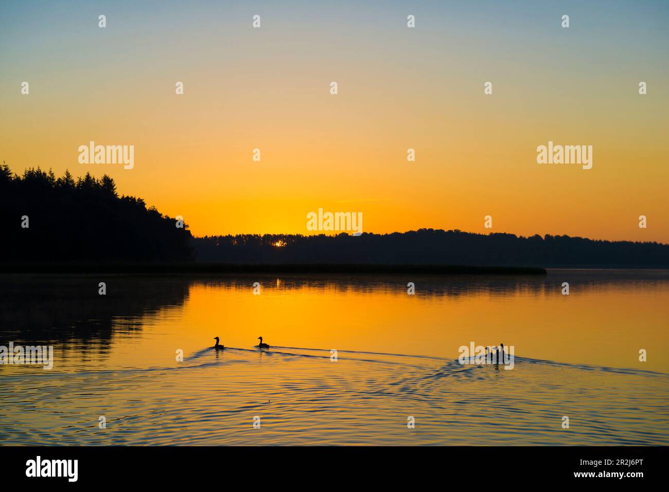 Schaalsee near Seedorf, sunrise, UNESCO Biosphere Reserve Schaalsee ...