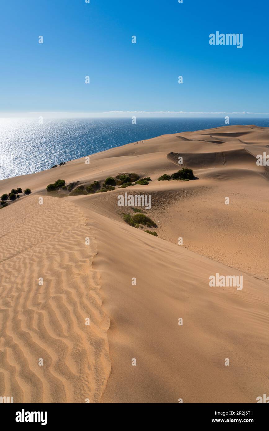 Sand dunes, Concon, Valparaiso Province, Valparaiso Region, Chile, South America Stock Photo