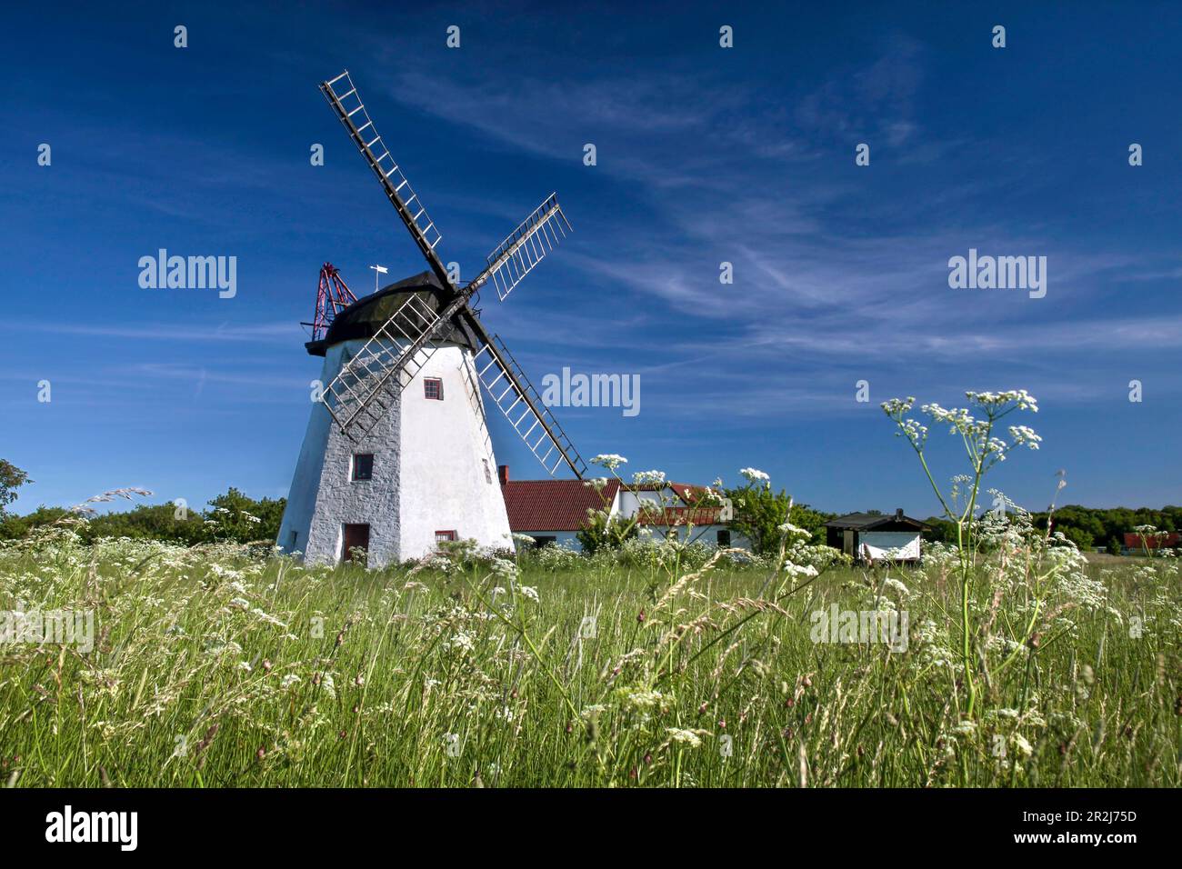 Windmill Myreagre Mølle in Aakirkeby on Bornholm, Denmark Stock Photo