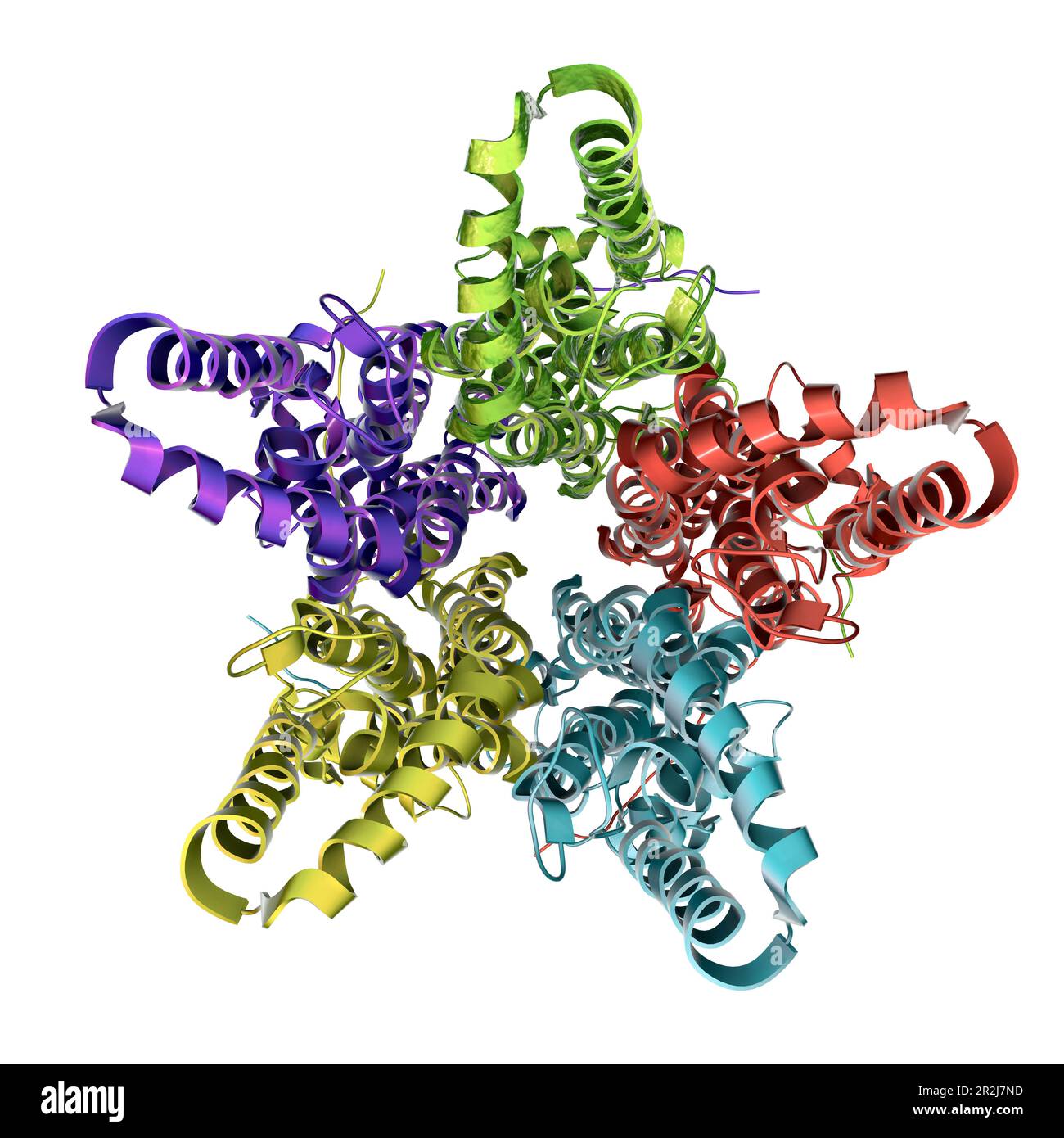 Bestrophin-1 protein molecule, illustration Stock Photo