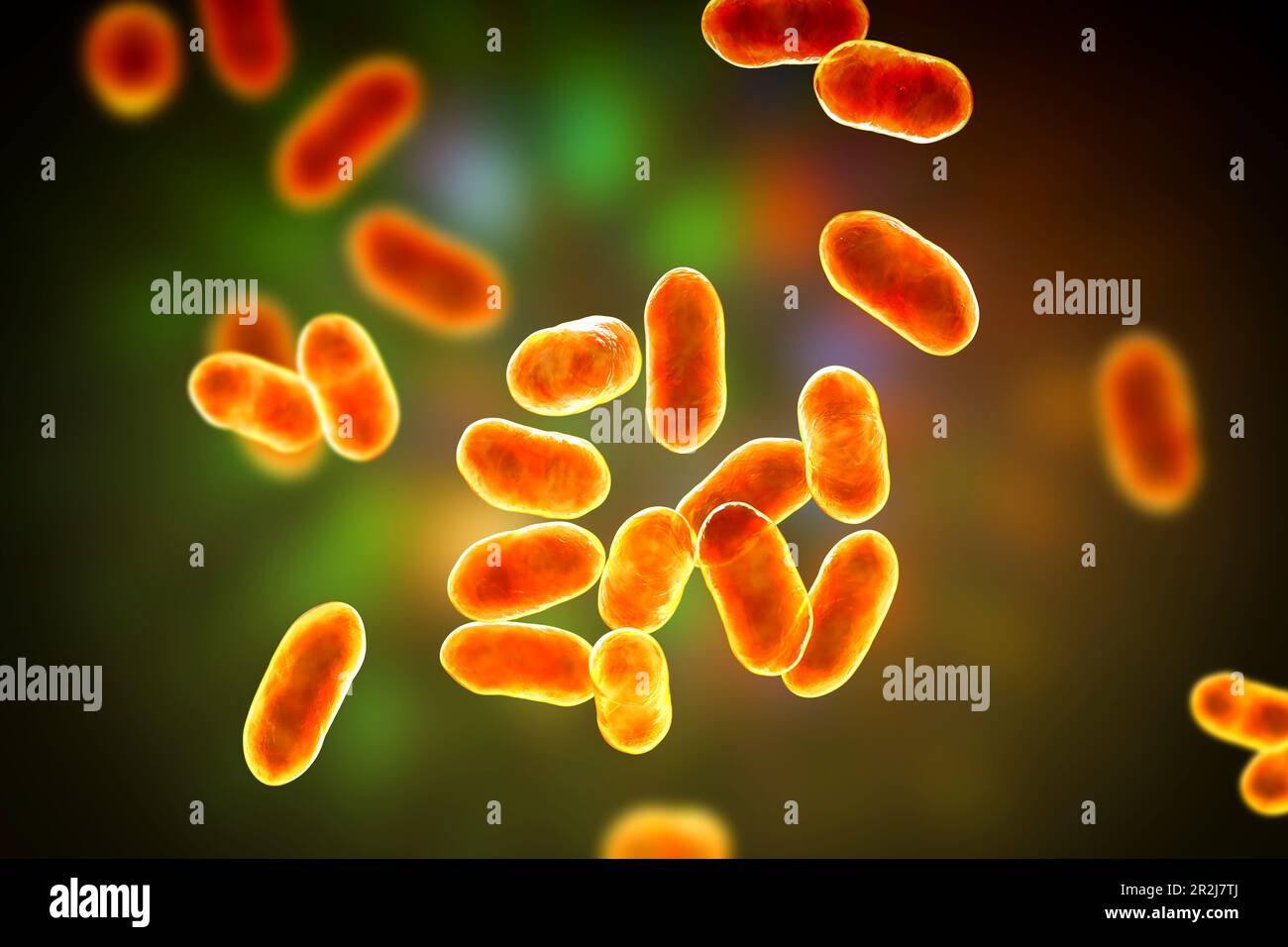 Prevotella bacteria hires stock photography and images Alamy