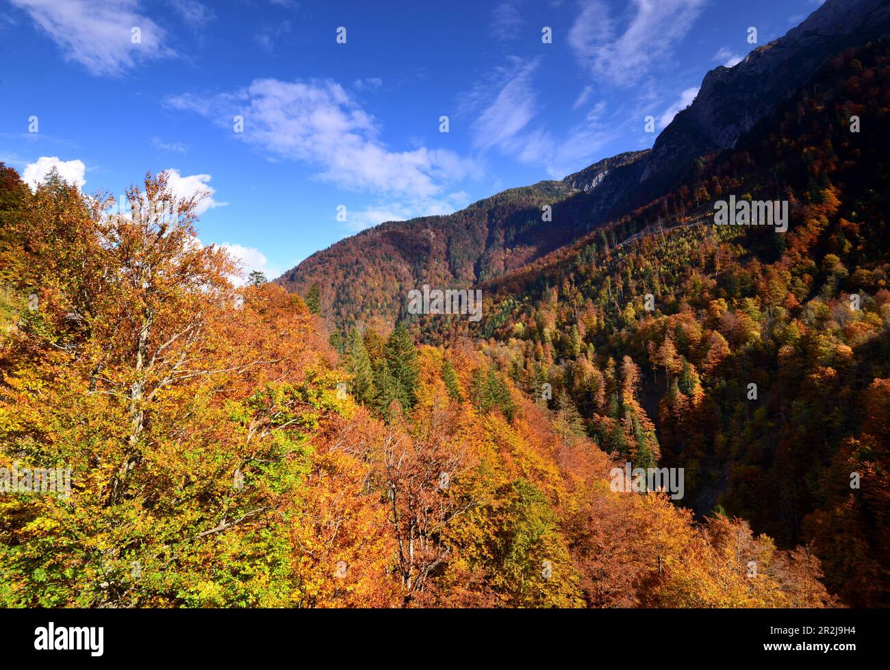 Autumn at the Plökenpass near Körtschach-Mauten, Lesachtal, Carinthia, Austria Stock Photo