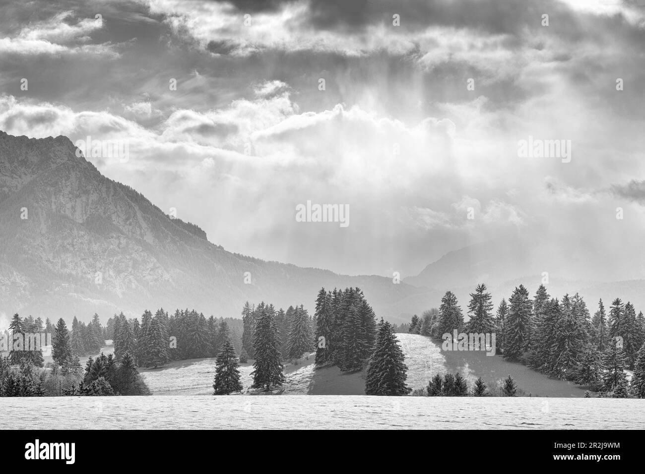 View of the Allgäu Alps, Buching, Halblech, Allgäu, Bavaria, Germany, Europe Stock Photo