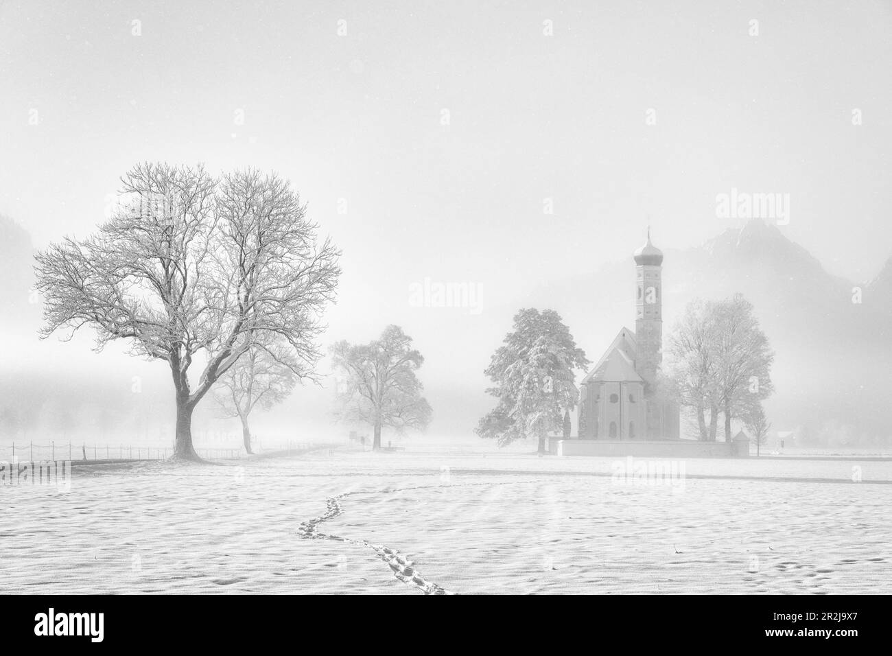 Winter fog at St. Coloman Church in the snow, Schwangau, Koenigswinkel, Allgaeu, Bavaria, Germany, Europe Stock Photo
