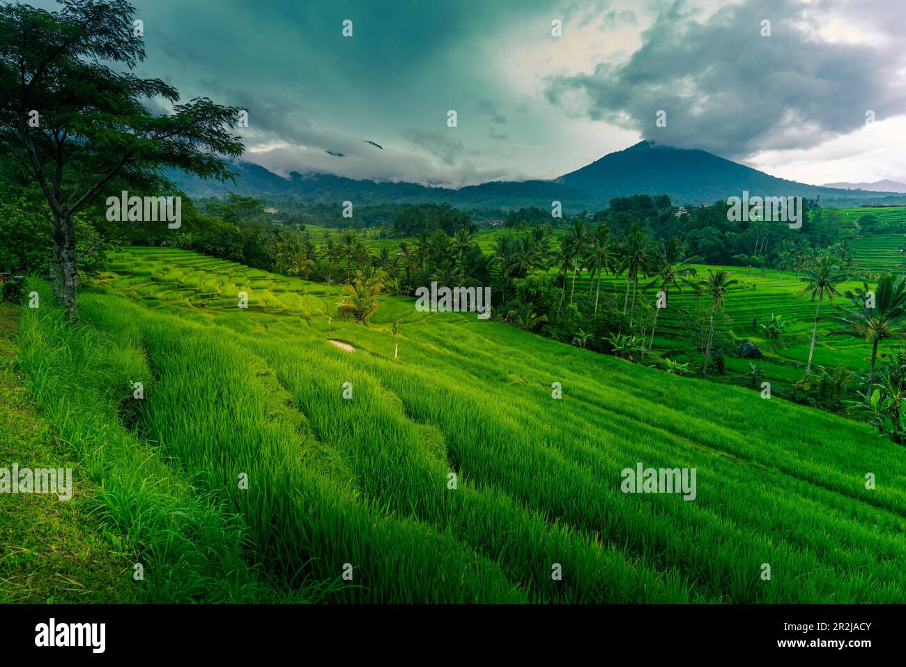 View of Sidemen Rice Terrace, Sidemen, Kabupaten Karangasem, Bali ...