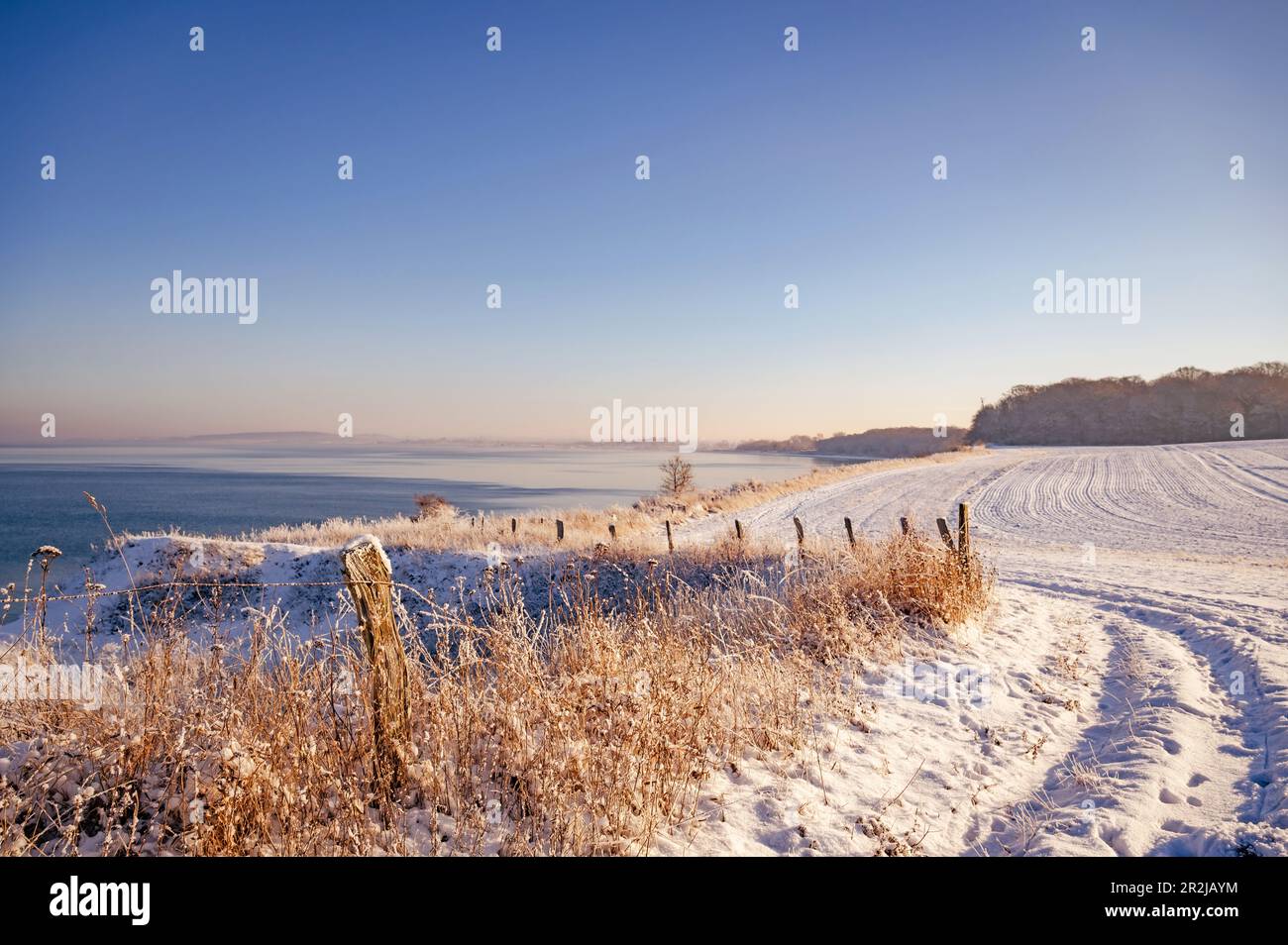 Wintery idyll on the Eitz in Weissenhaeuser beach, steep coast, Weissenhaus, Baltic Sea, Ostholstein, Schleswig-Holstein, Germany Stock Photo