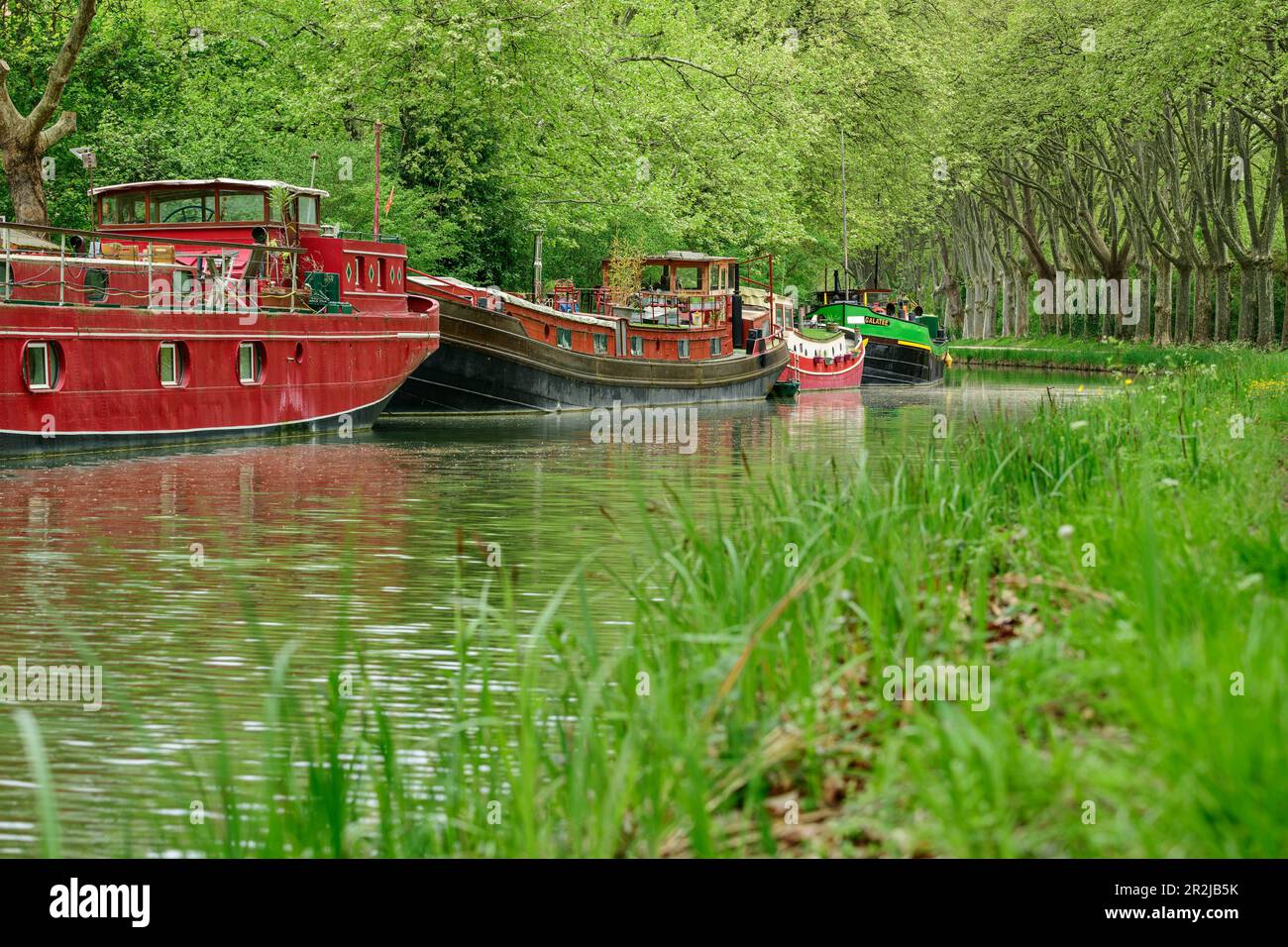 Houseboats on the Canal du Midi, near Toulouse, Canal du Midi, UNESCO World Heritage Canal du Midi, Occitania, France Stock Photo