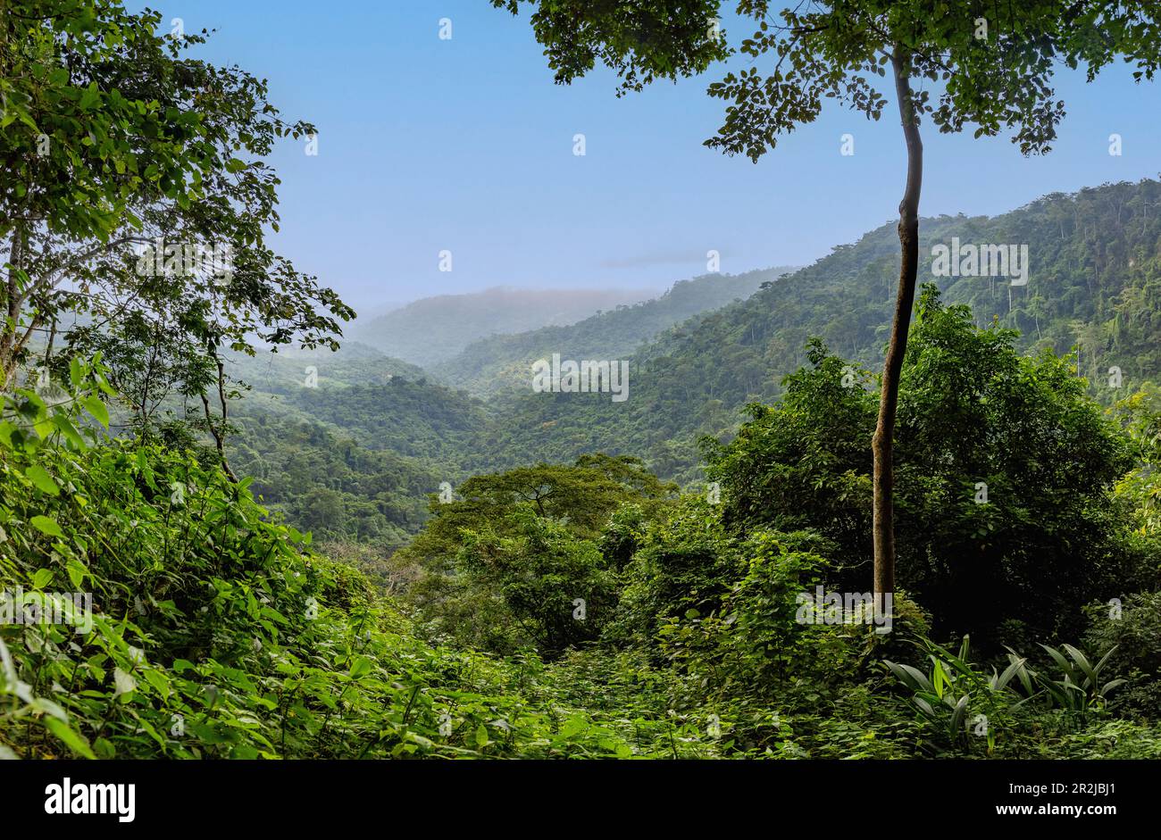 Afadzado mountain landscape at Ho in the Volta Region of eastern Ghana in West Africa Stock Photo