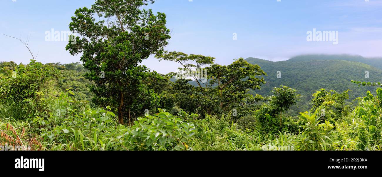 Afadzado mountain landscape at Ho in the Volta Region of eastern Ghana in West Africa Stock Photo