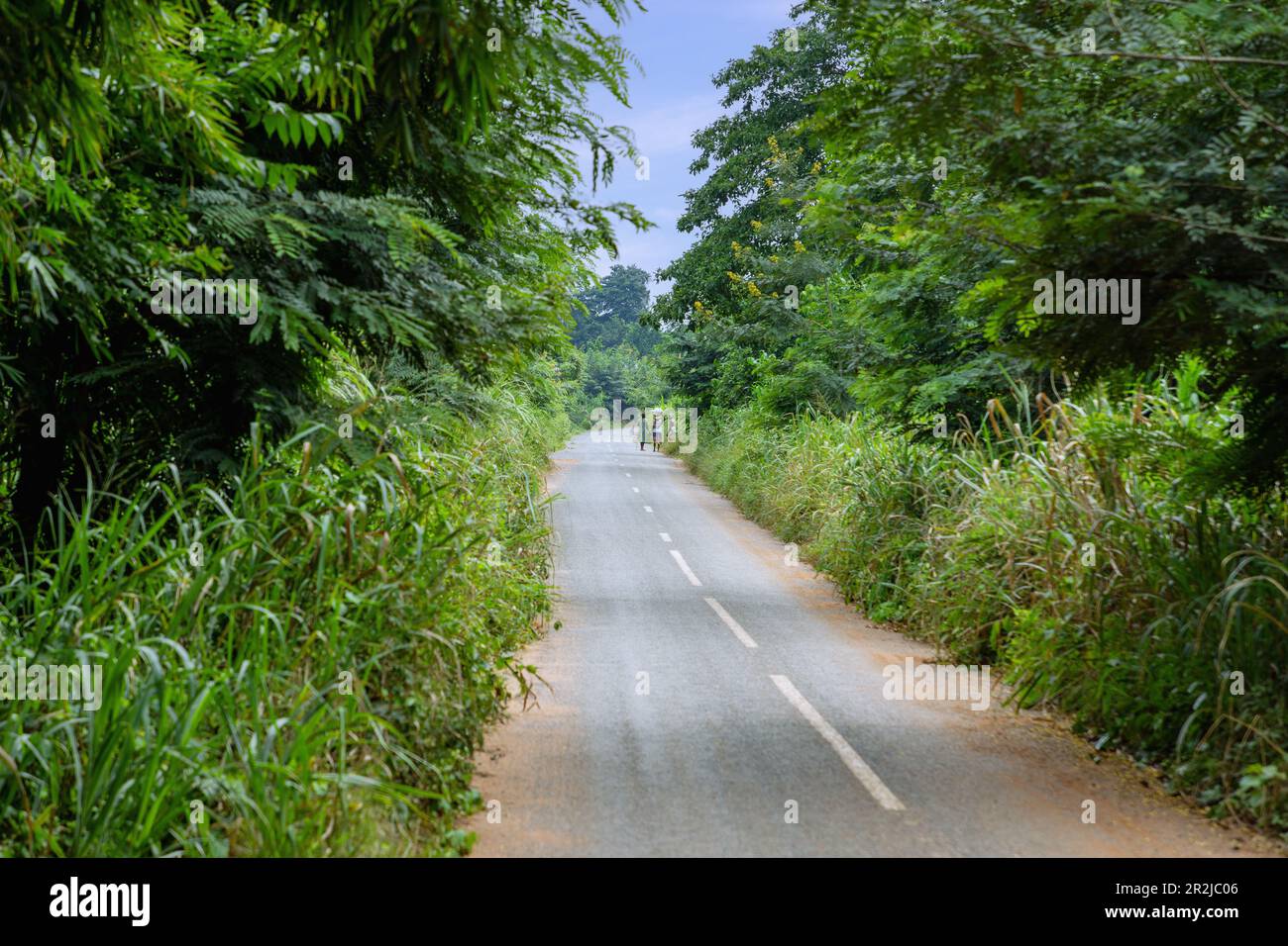 Country road in the rainforest landscape near Hohoe in the Volta Region in eastern Ghana in West Africa Stock Photo