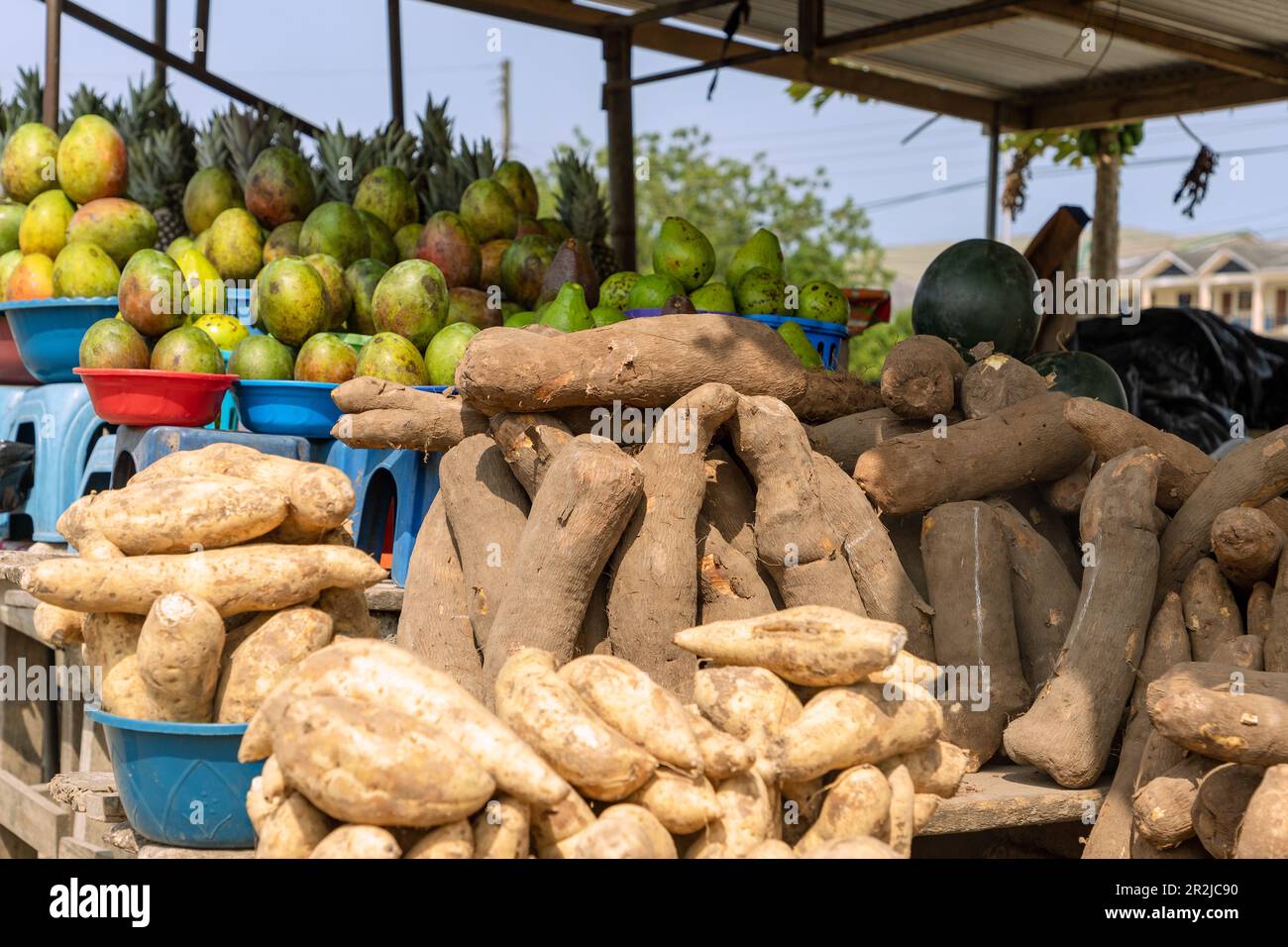 Street sale of mangoes and yams in Winneba in the Central Region of