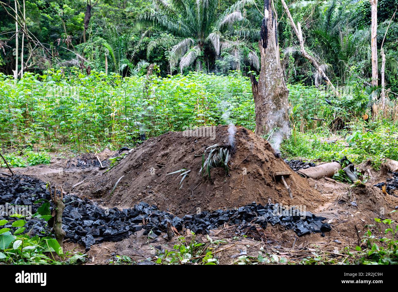 Wood hammer for making charcoal at Wli Waterfall near Hohoe in the Volta Region of eastern Ghana in West Africa Stock Photo