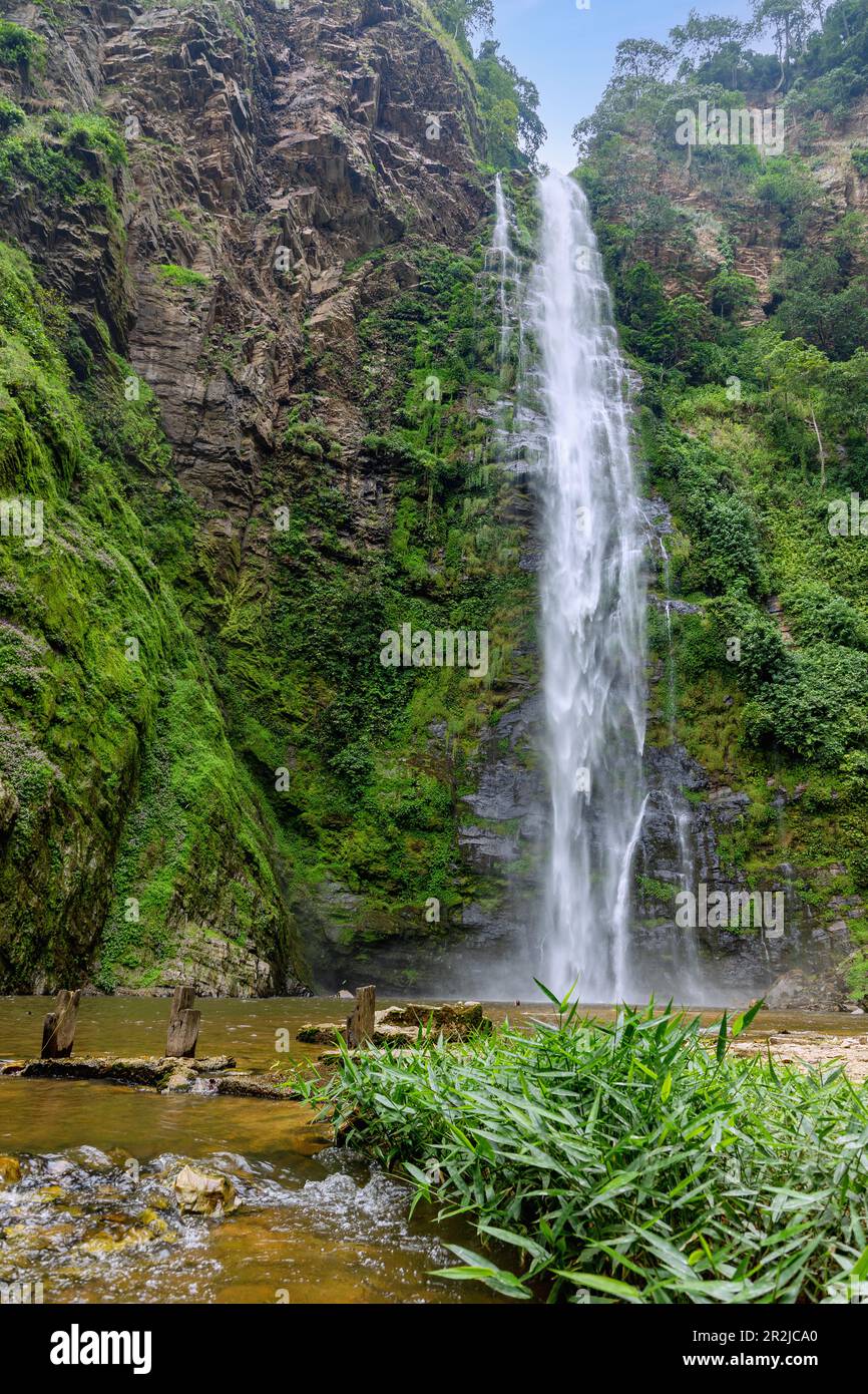 Wli Waterfall in the rainforest landscape in the Agumatsa Nature Reserve near Hohoe in the Volta Region of eastern Ghana in West Africa Stock Photo
