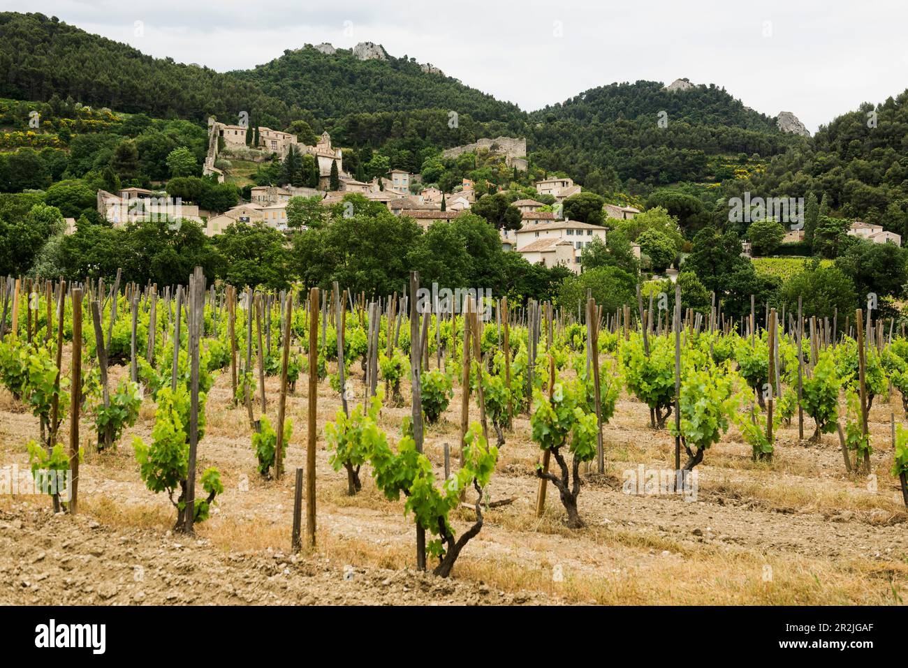 Picturesque mountain village, Gigondas, Dentelles de Montmirail, Vaucluse Department, Provence, Provence-Alpes-Côte dAzur, France Stock Photo