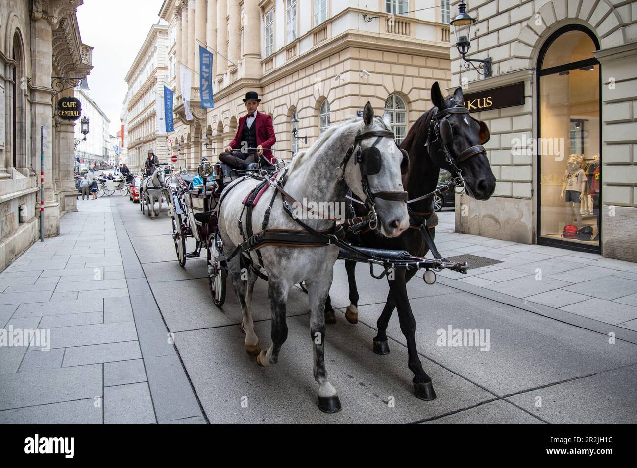 Enjoying horse drawn carriage hi-res stock photography and images - Alamy