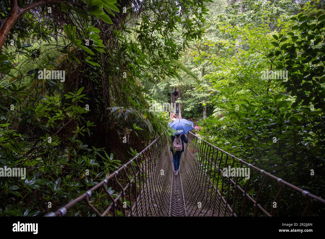 Young woman with umbrella crossing suspension bridge in the Lost Gardens of Heligan, near Mevagissey, Cornwall, England, United Kingdom, Europe Stock Photo