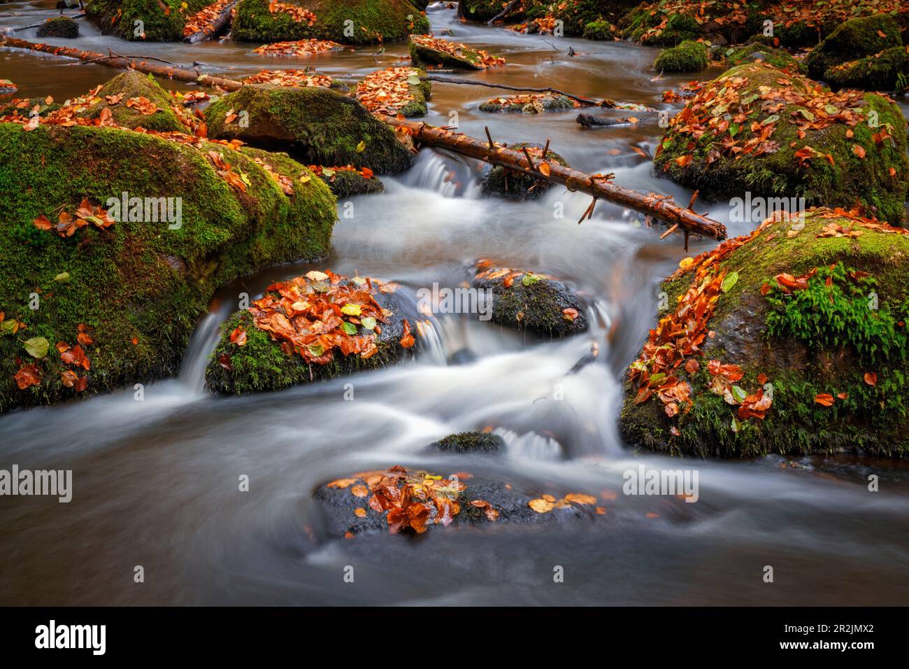 Autumn in the Höllbachtal, Rettenbach, Upper Palatinate, Bavarian Forest, Bavaria, Germany, Europe Stock Photo