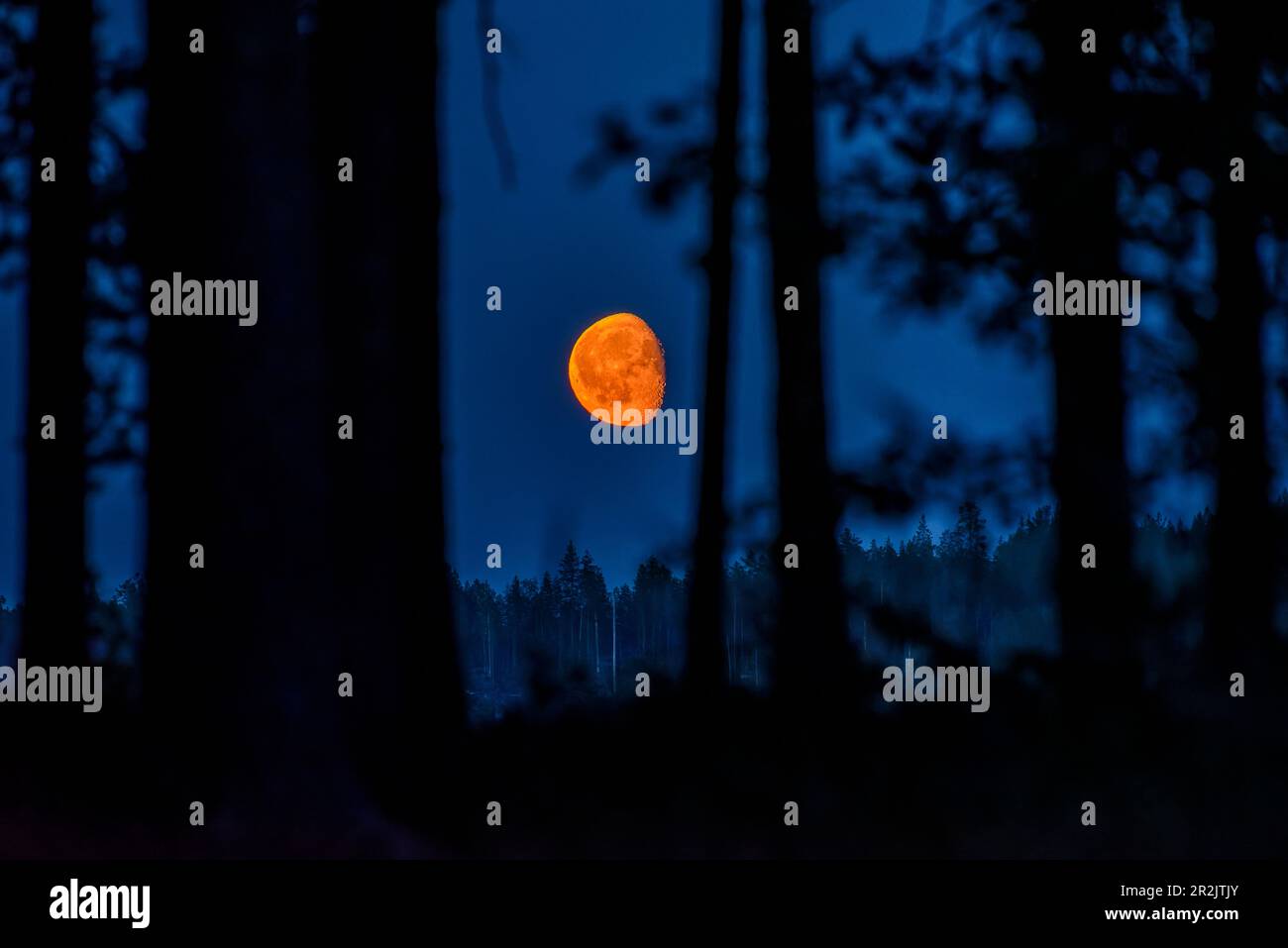 One night the moon hi-res stock photography and images - Alamy