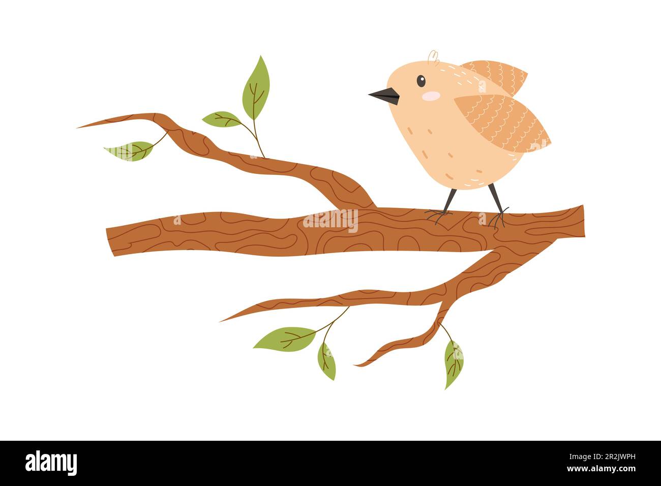 Cute bird sits on a tree branch Stock Vector Image \u0026 Art - Alamy, image size:1300x956