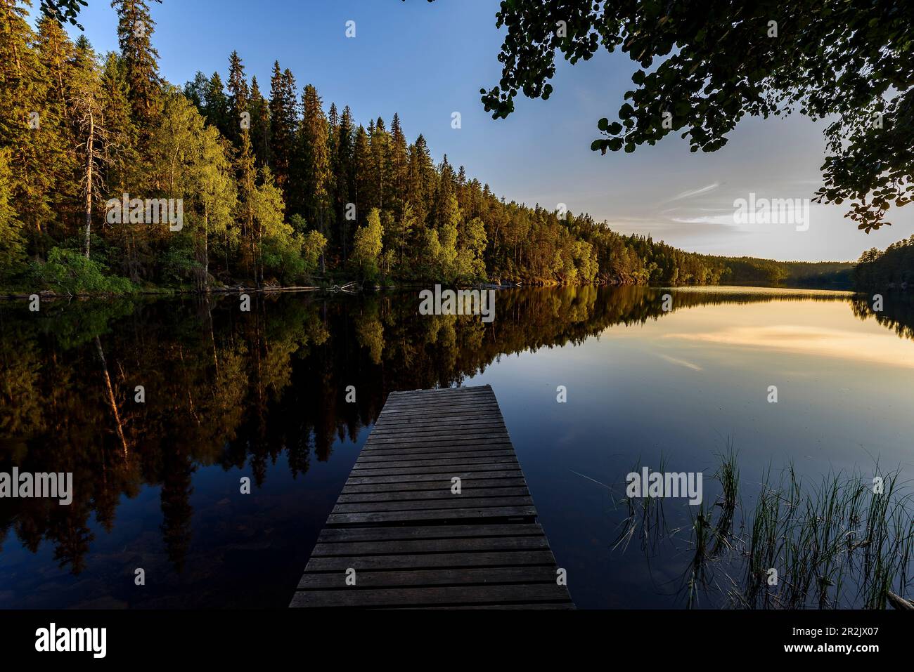 Helvetinjarvi National Park Hi res Stock Photography And Images Alamy Helvetinjarvi National Park Hi res Stock Photography And Images Alamy
