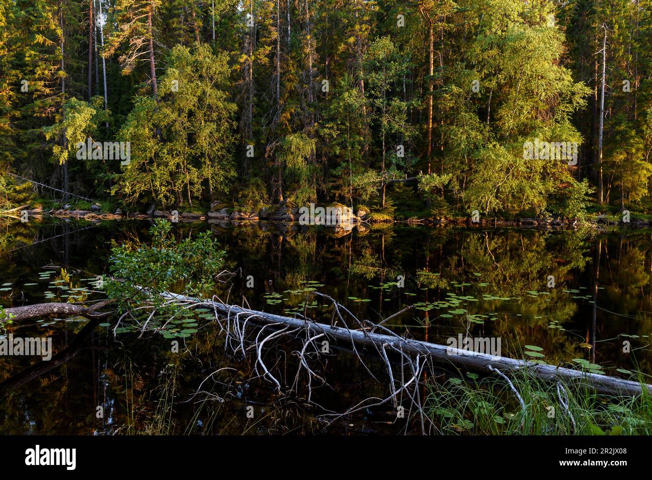 Helvetinj rvi National Park North Of Tampere Finland Stock Photo Alamy