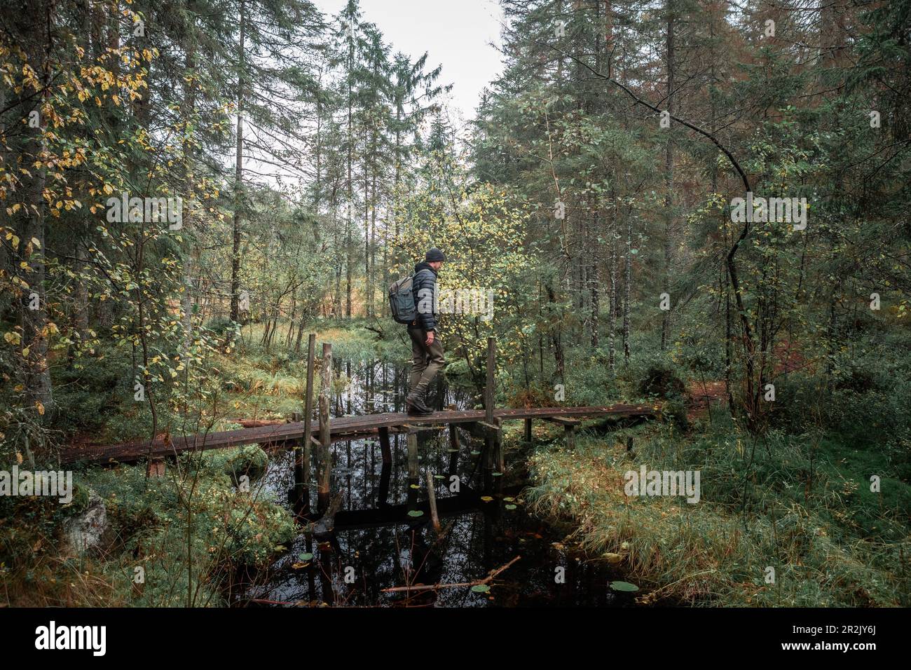 Man with backpack hikes over small bridge of a river in the forest in Tiveden National Park in Sweden Stock Photo