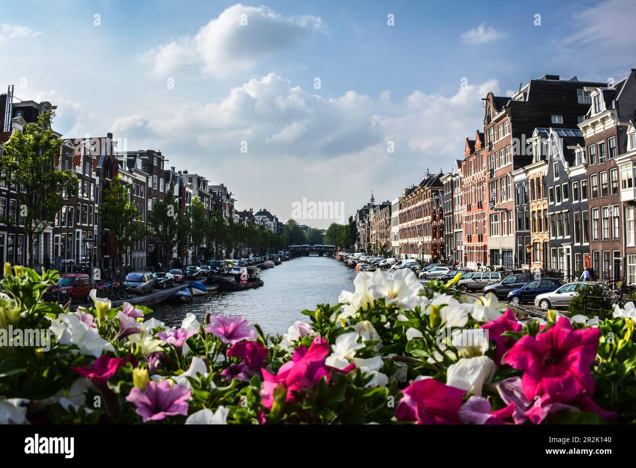 Flowers by the Amstel River - Amsterdam, Netherlands Stock Photo