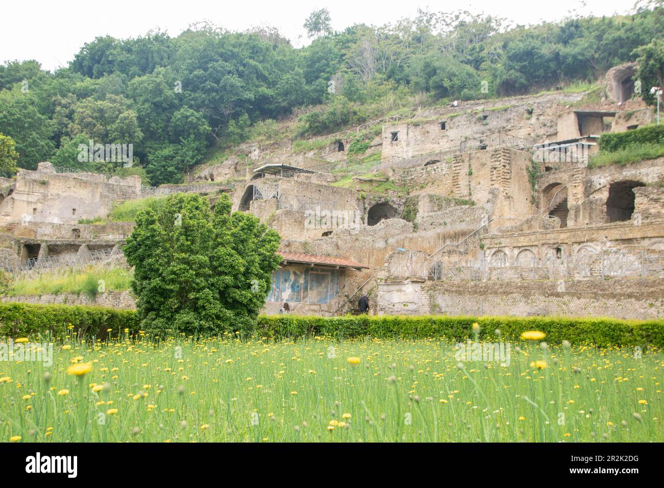 Baths of Baia archaeological park, Baia,  Campania, Naples, Italy Stock Photo