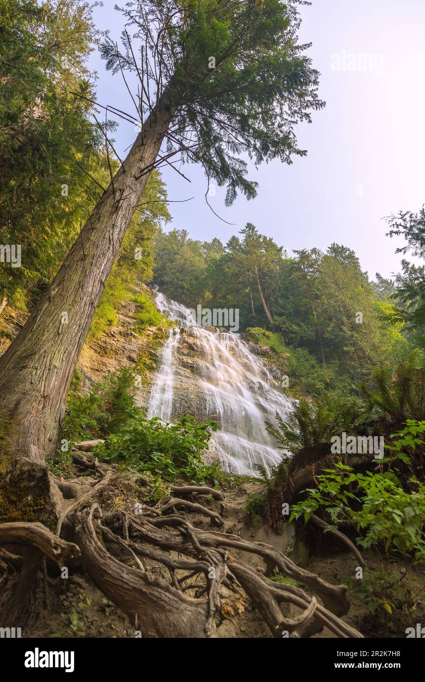 Bridal Veil Falls Provincial Park at Chilliwack, waterfall Stock Photo