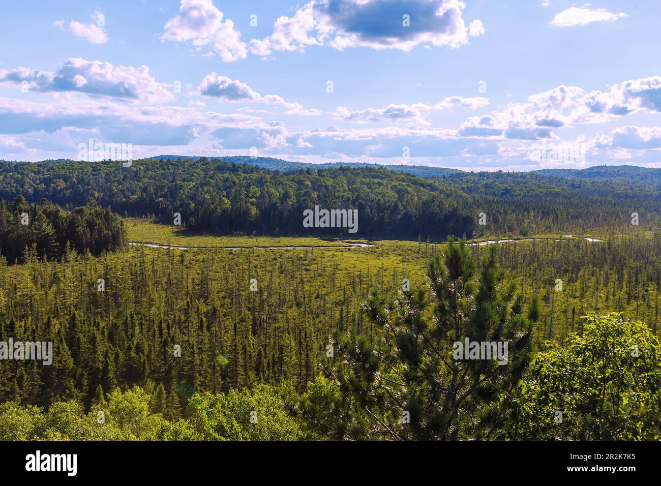 Algonquin Provincial Park, Madawaska River Stock Photo