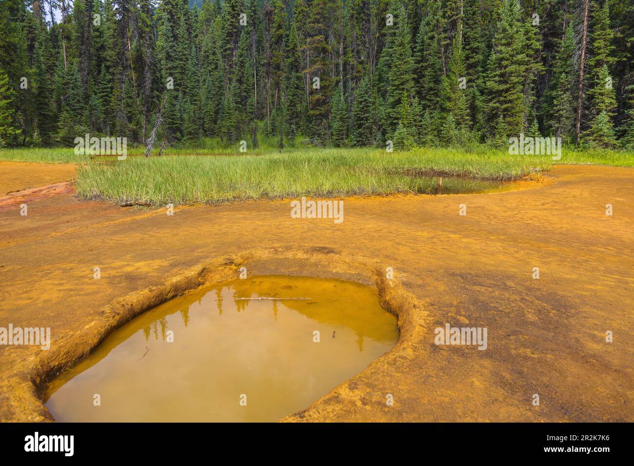 Kootenay National Park, Paint Pots Stock Photo Alamy