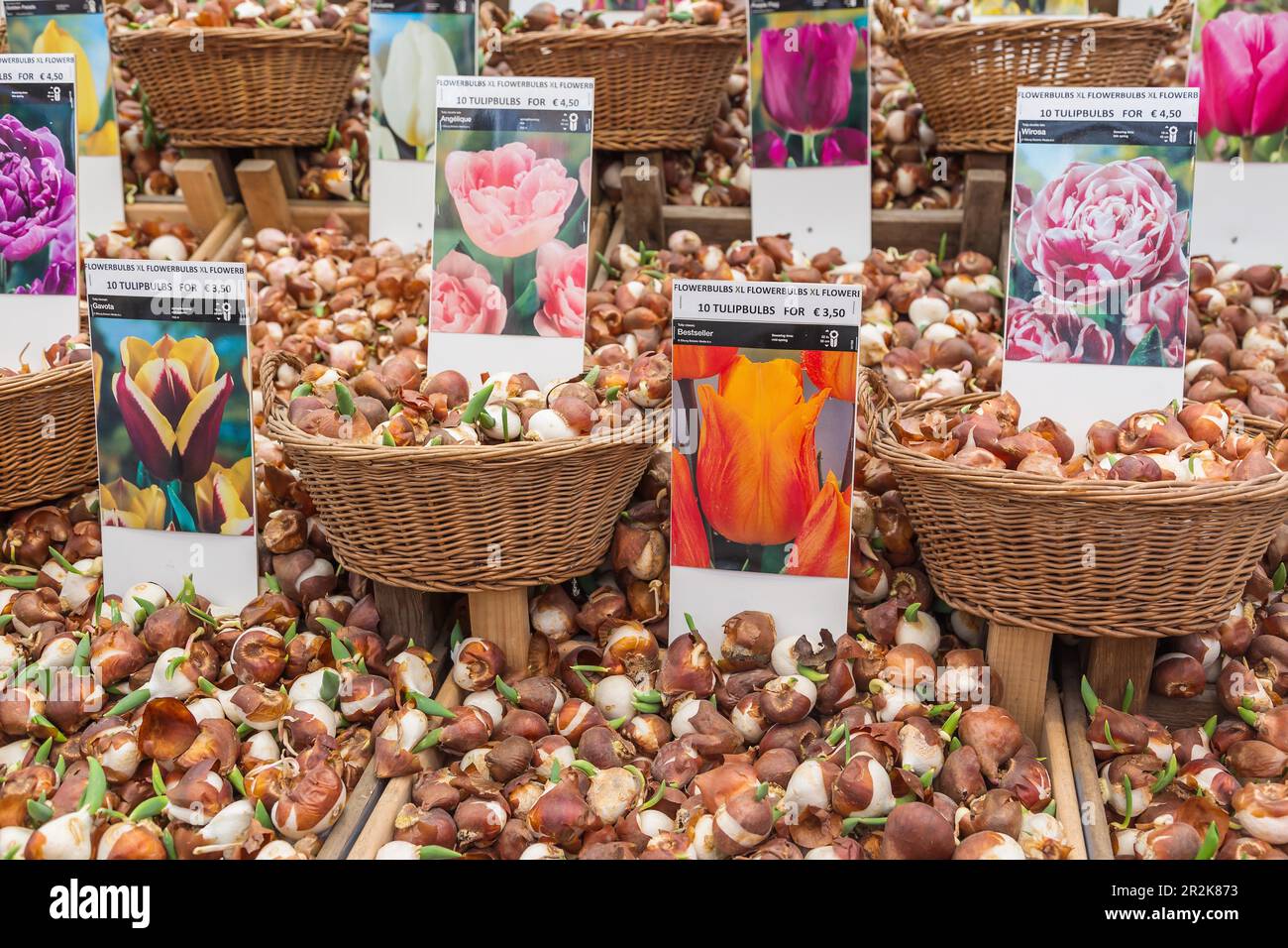 Amsterdam, Bloemenmarkt, flower stall with tulip bulbs Stock Photo